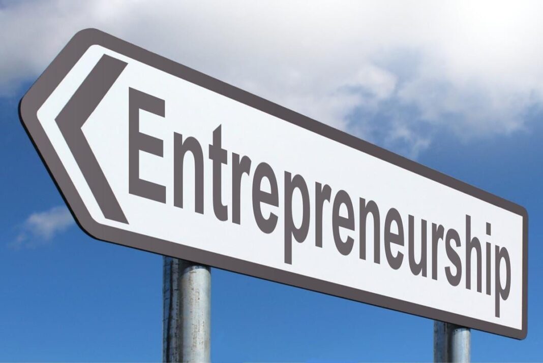 How Self-directed IRAs Can Fuel Your Entrepreneurial Ventures in 2024? Entrepreneurial Ventures