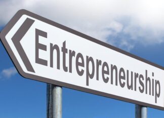 How Self-directed IRAs Can Fuel Your Entrepreneurial Ventures in 2024? Entrepreneurial Ventures