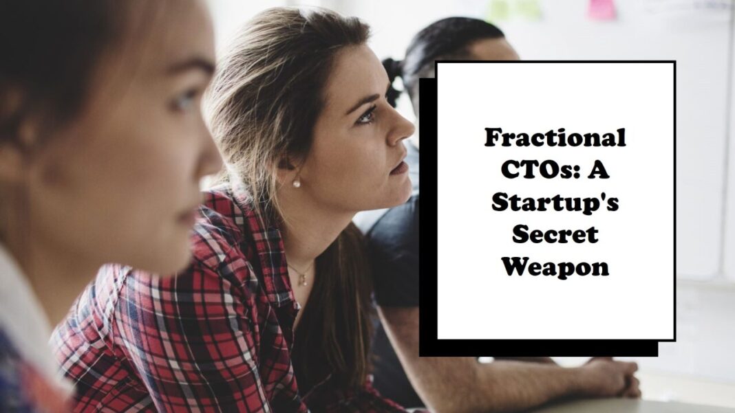 Fractional Developers 